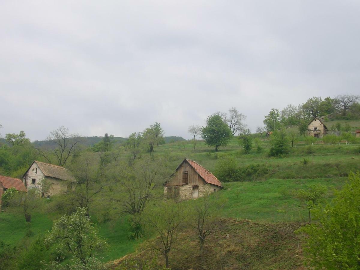 Casa Sviniceană Svinita Exterior foto